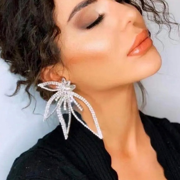 NWT Big Statement Crystal Earrings - Picture 2 of 3